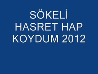 Sökeli Hasret - Hap Koydum 2012 Albüm.