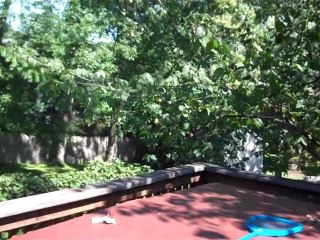 HD Camcorder for 47 Dollars!