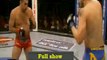#UFC on FOX 5 SHOGUN KO GUSTAFSSON video