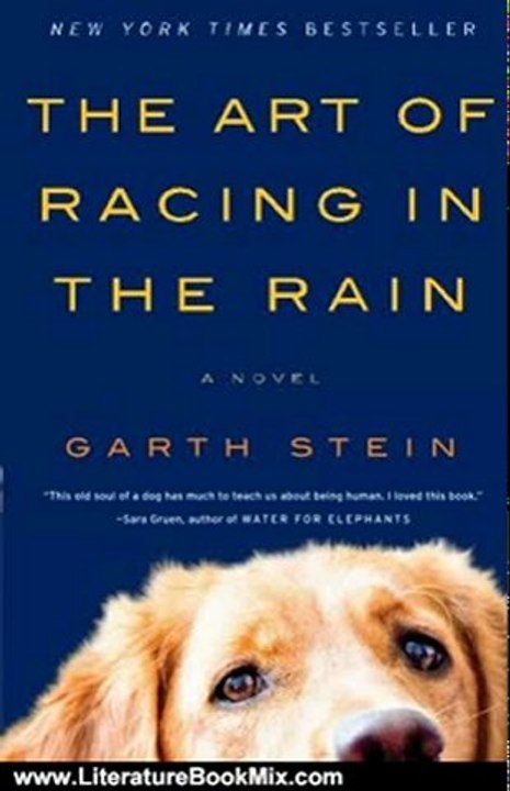 Literature Book Review: The Art of Racing in the Rain: A Novel by Garth Stein
