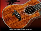 learn ukulele play-along