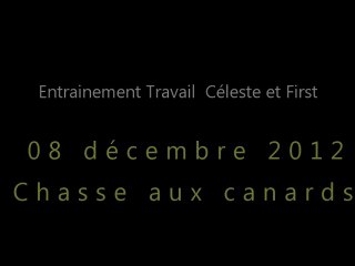 Entrainement travail 08-12-2012-Canards