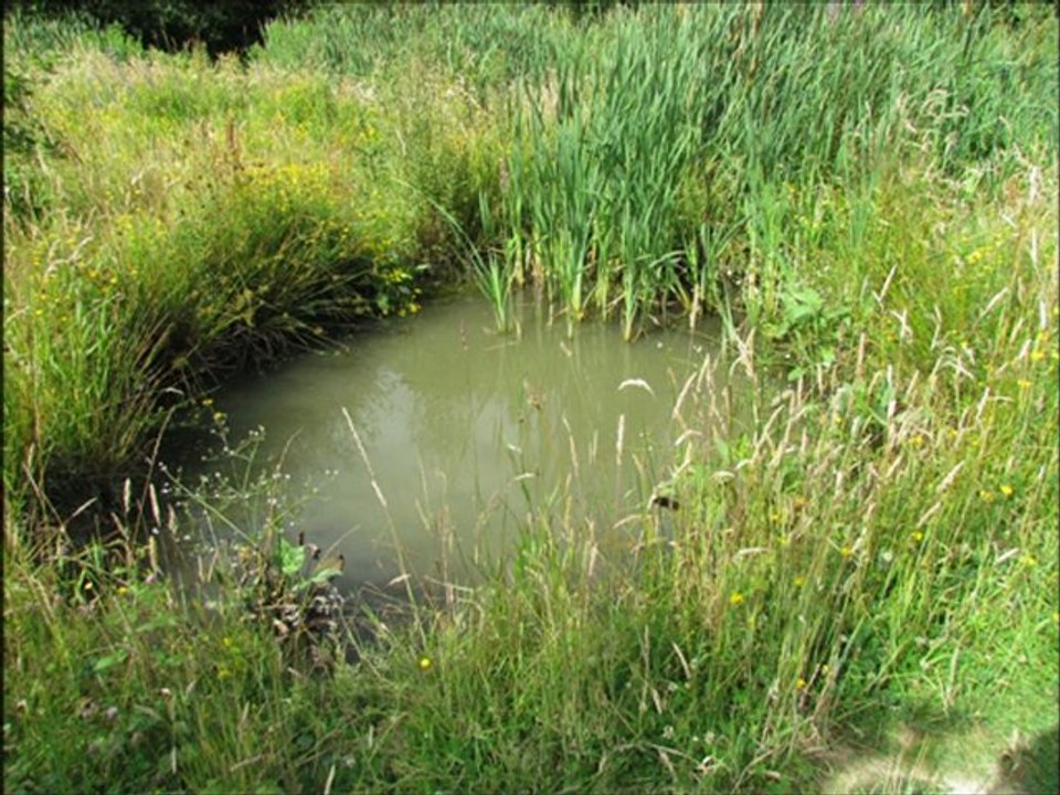 Chemin des ardoisières (fin)
