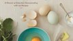 Food Book Review: Chicken and Egg: A Memoir of Suburban Homesteading with 125 Recipes by Janice Cole