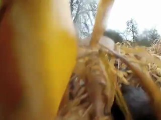 Michael and Miles go hunting #1