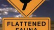 Humour Book Review: Flattened Fauna, Revised: A Field Guide to Common Animals of Roads, Streets, and Highways by Roger M. Knutson