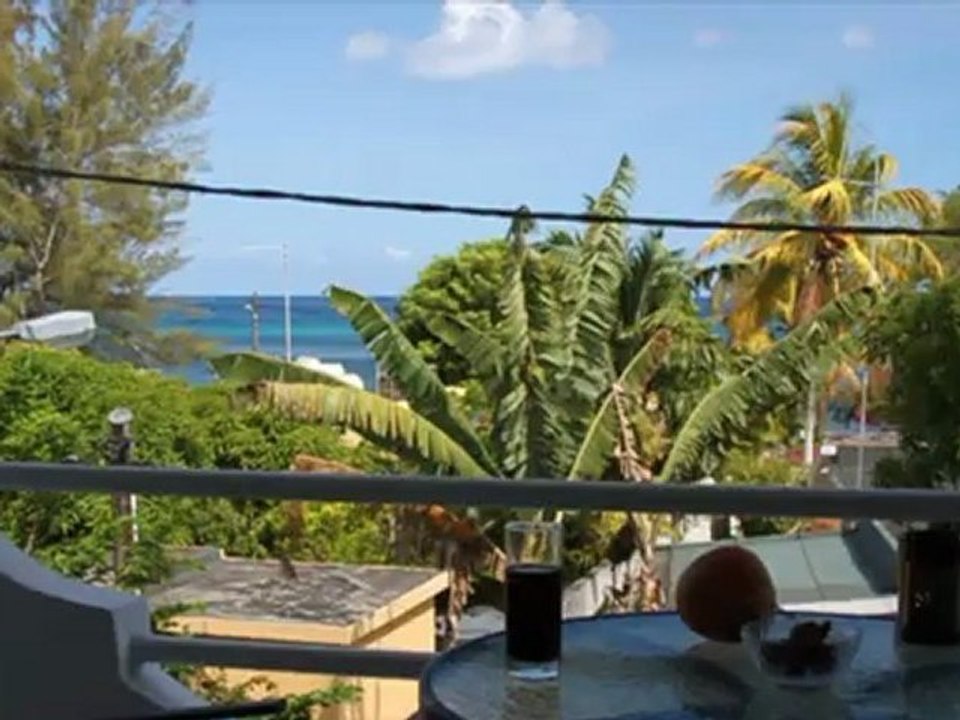 vue de la terrasse de l'appartement avant en location a trou aux biches ile maurice