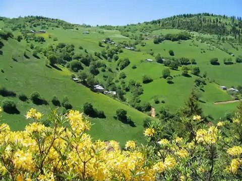 TRABZON AKCAABAT CEVİZLİK..KÖYÜ GÜNGÖR .YILDIZ .AHMET KAYA BEBEYİM