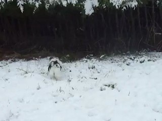 1ère neige 2012(7/12/2012)