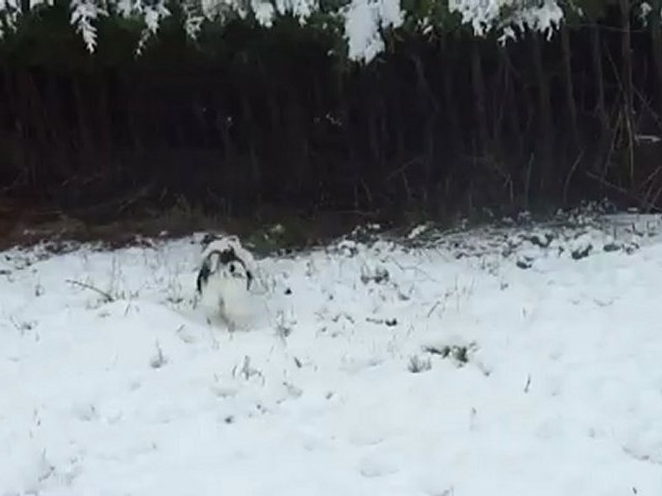1ère neige 2012(7/12/2012)
