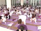 Beyazlar içinde 300 yogacı