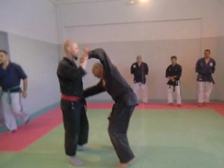 Toni Kauhanen en stage à Théza présente quelques techniques d'aïkijitsu de son école