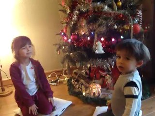 Sapin de Noël 2012 - Ingrédients