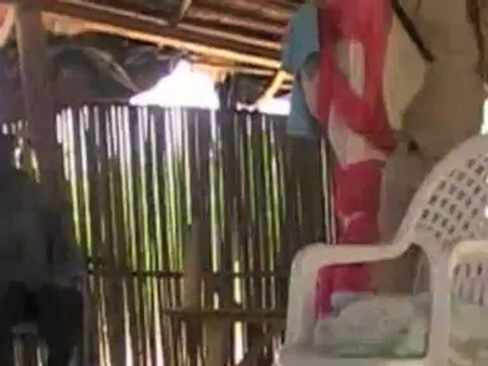 MESSAGE POIGNANT À ÉCOUTER ABSOLUMENT : LES MYSTÈRES DU CHANT DU COQ