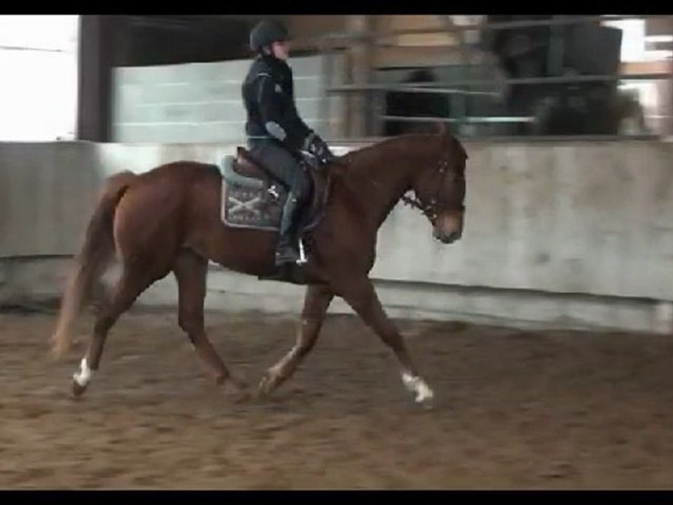 Essais Chevaux 2