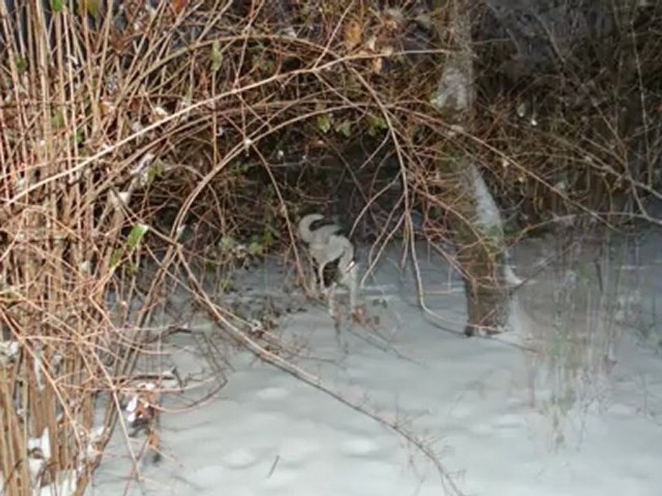 Nora und Dina im schnee