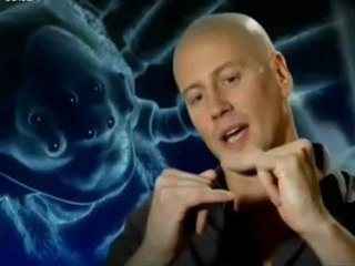 Bichos, duelo salvaje Vida o muerte (asturweb)