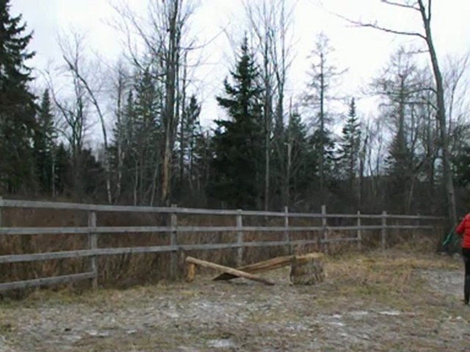 Dream entrainement premiers sauts !!!