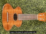 easy to play ukulele songs