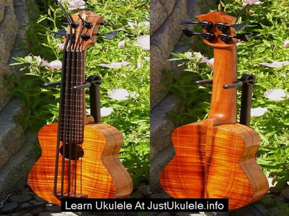 beginner ukulele answers