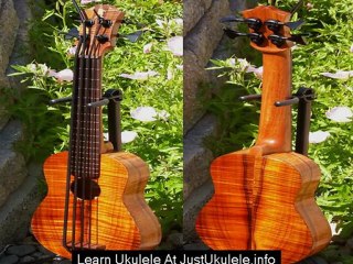 beginner ukulele chord chart