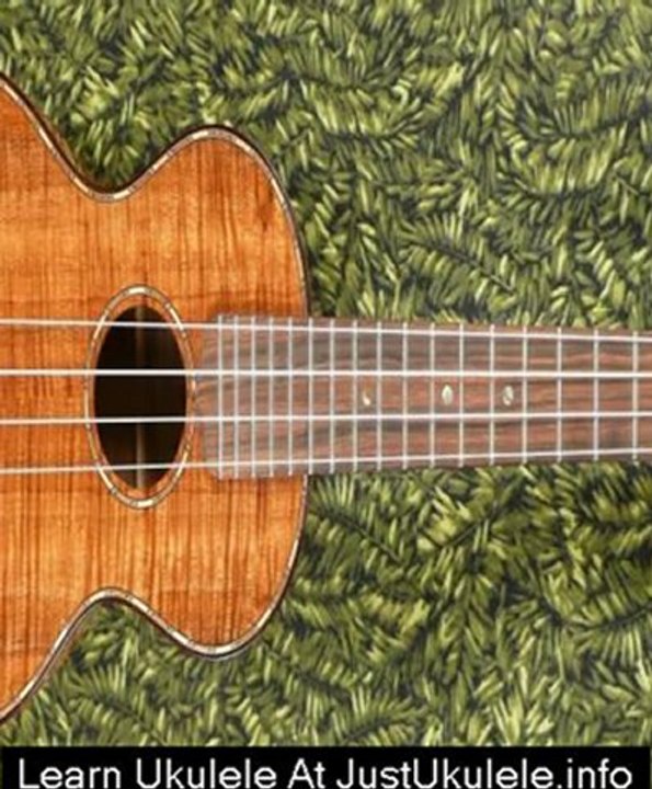 beginner ukulele chords songs
