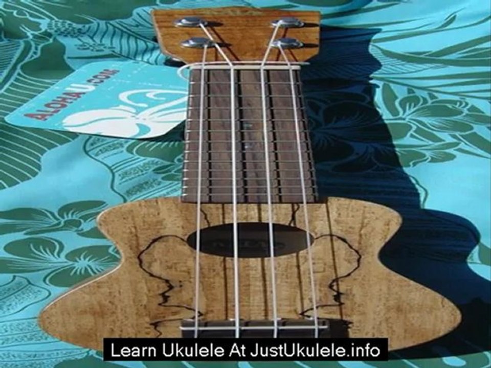 beginner ukulele help