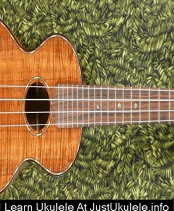 beginner ukulele instruction