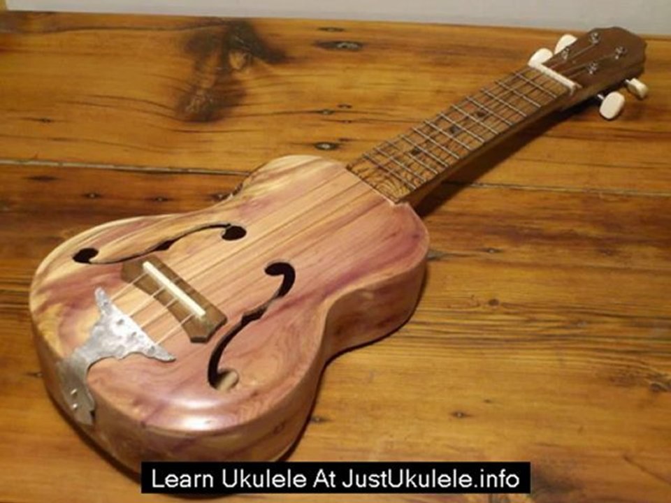 ukulele beginner fingerpicking