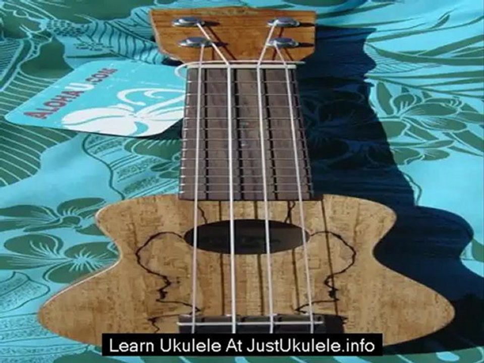 ukulele beginner hawaii