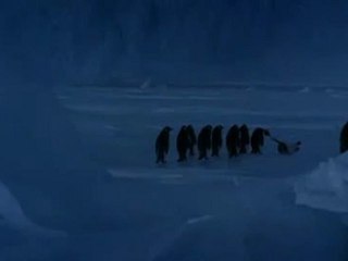 Un manchot glisse  - The Appli dispo sur l'app store Gratuit - # TheAppli