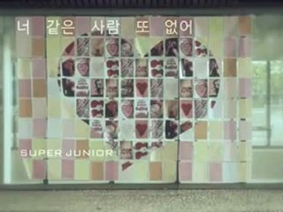 super junior - no other mv