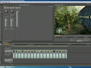 My Render Settings