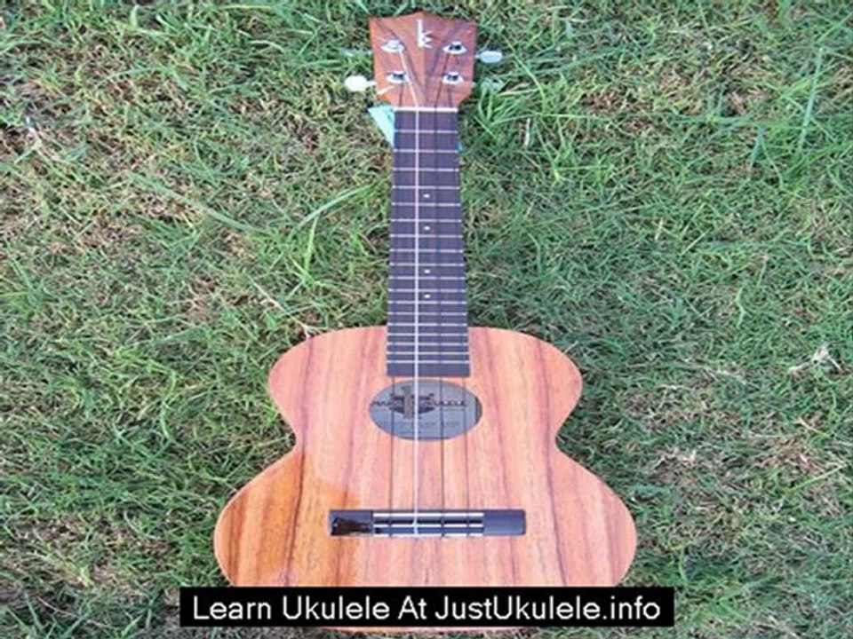 ukulele chords for beginners