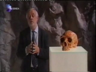 El hombre de Neandertal: La odisea de la especie humana