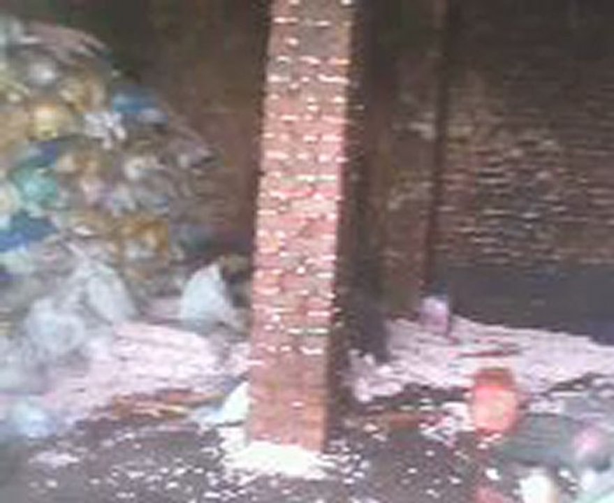 da sro phulo bat part1