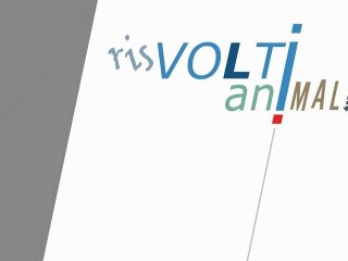 Personale Poggiani-Sarhtori 3-16_Dicembre2012