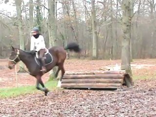20121209 VENDETTA SANDILLON