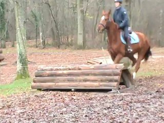 20121209 VIVALDI SANDILLON