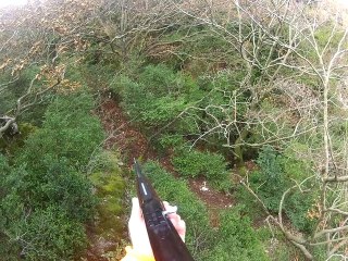 Chasse au sanglier dans l'Hérault. Lauroux.