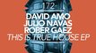 David Amo & Julio Navas & Rober Gaez - Intense Flavour (Original Mix) [Great Stuff]