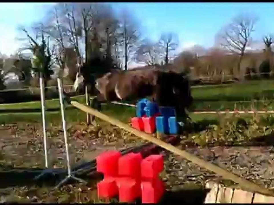 Ar Tartifume mâle CO par Quitus de la Loue et Eva Kazeg Ar Crano