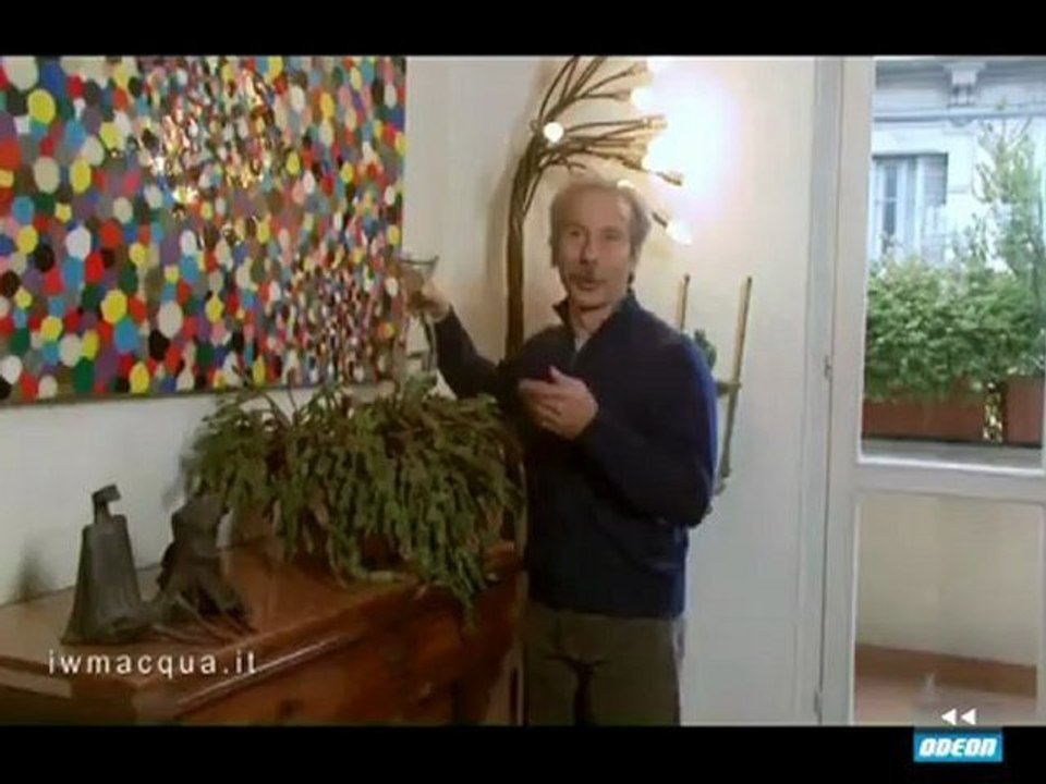 GO-KARTv - P DICEMBRE 2012