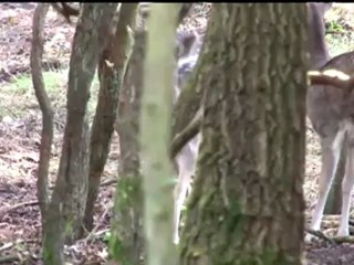 Espai Terra - dimecres 24 d'octubre