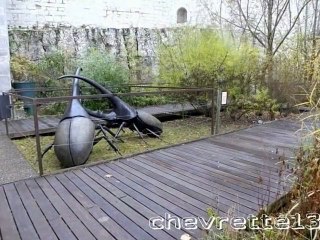 Besançon la citadelle (2)