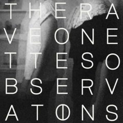 RAVEONETTES  - Observations