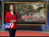 Fire Officer enjoys drink party - Tv9 Sting Operation