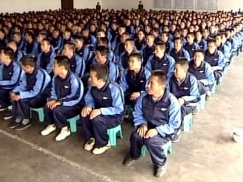 Европа может призвать Китай к ответу за органы