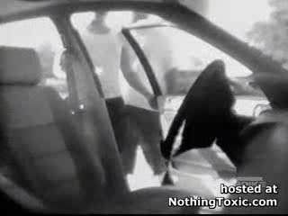 voleurs de voiture owned