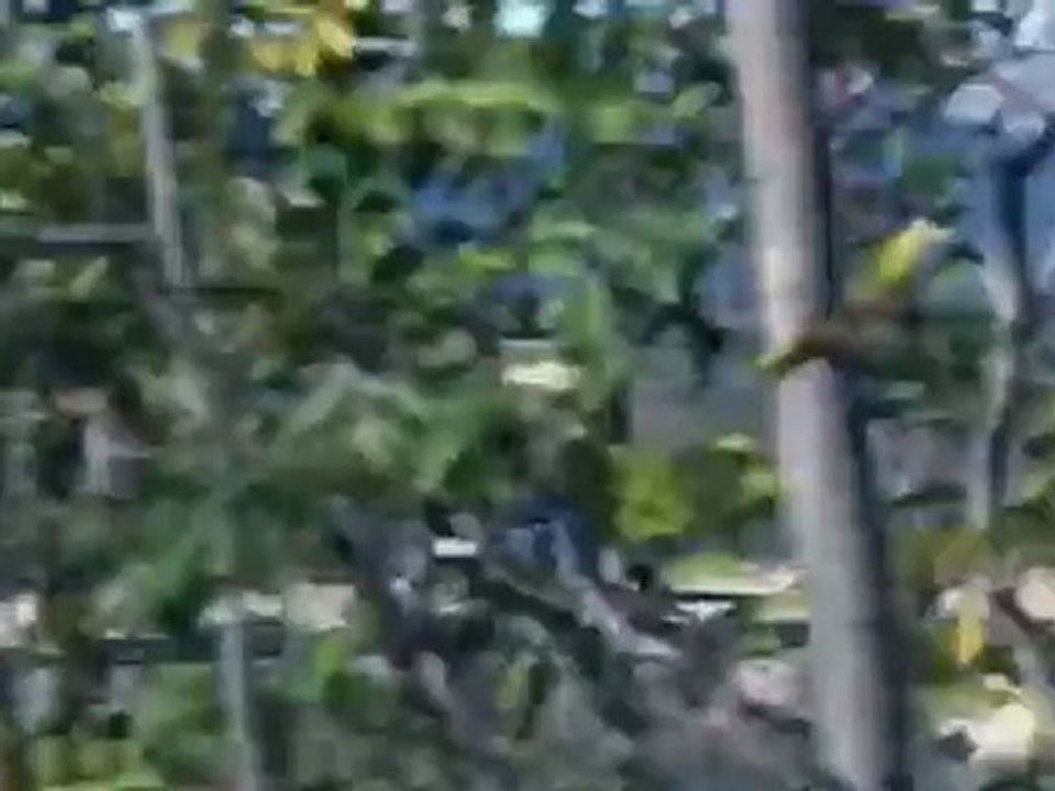 البداية: سيارة"سيات ليون" | عالم السرعة